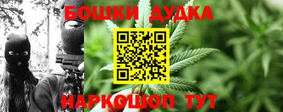 индика Анапа