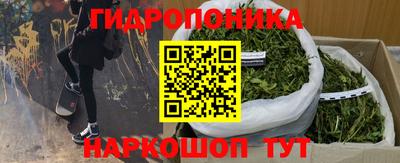 прущие грибы Анжеро-Судженск