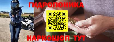индика Анапа