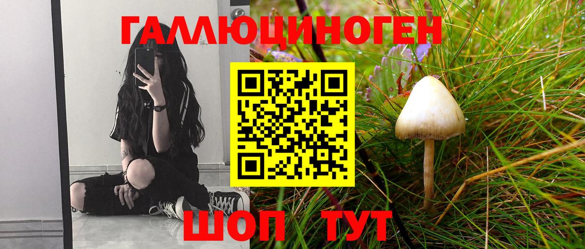Галлюциногенные грибы прущие грибы Дмитров