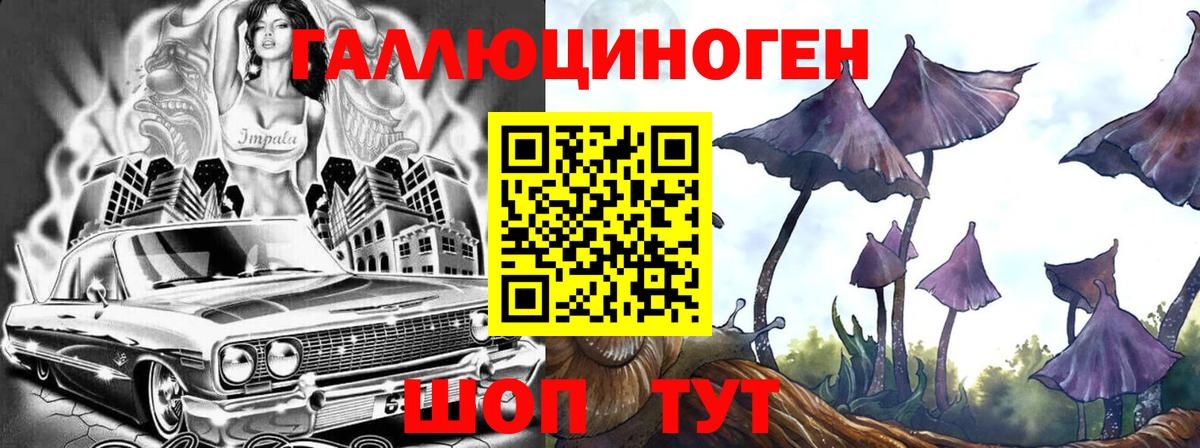 Дмитров  Галлюциногенные грибы Psilocybine cubensis  Вход с VPN  Псилоцибиновые грибы Magic Shrooms 