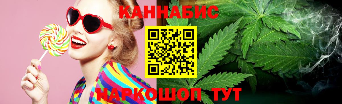 Каннабис сатива Дмитров